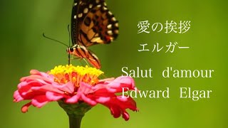 Download lagu 【環境動画】愛の挨拶  エドワード・エルガー  Salut d'amour（Elgar）クラシック曲と映像のコラボレーション ピアノ演奏・菅野美奈【快適〜癒しのBGM〜4】 mp3