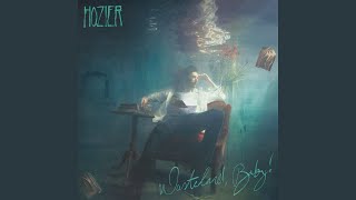 Musik-Video-Miniaturansicht zu Why Would You Be Loved Songtext von Hozier