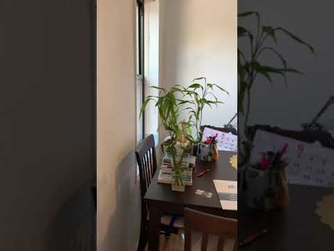 video 1