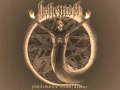 Behemoth - The Thousand Plagues I Witness [LIVE] [BONUS TRACK]