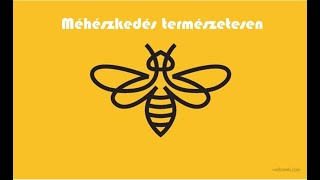 Méhek télen: februári virágpor gyűjtés
