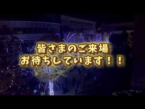 【第19回】徳島キャンパスイルミネーション点灯式【徳島文理大学】