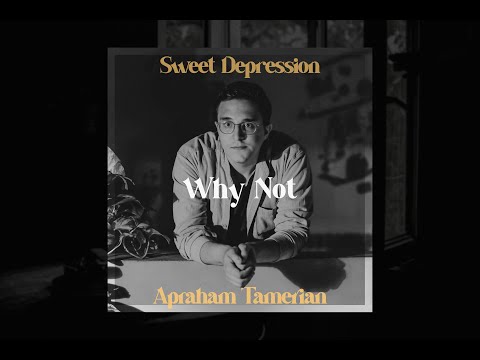 Apraham Tamerian - Why Not