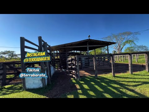 FAZENDA 11 KM DA CIDADE NO MARANHÃO 