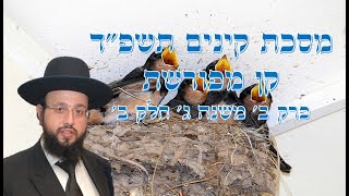 מסכת קינים תשפ"ד קן מפורשת פרק ב' משנה ג'- חלק ב (הרב יחזקאל מוצא) - התמונה מוצגת ישירות מתוך אתר האינטרנט יוטיוב. זכויות היוצרים בתמונה שייכות ליוצרה. קישור קרדיט למקור התוכן נמצא בתוך דף הסרטון