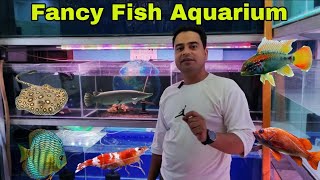 Fancy Fish Aquarium New Stock | Fish & Plants at Best Price All India Delivery