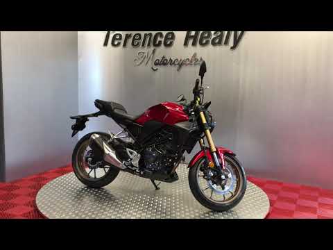 2025 Honda CB300R ''Finance Available'' - Image 2