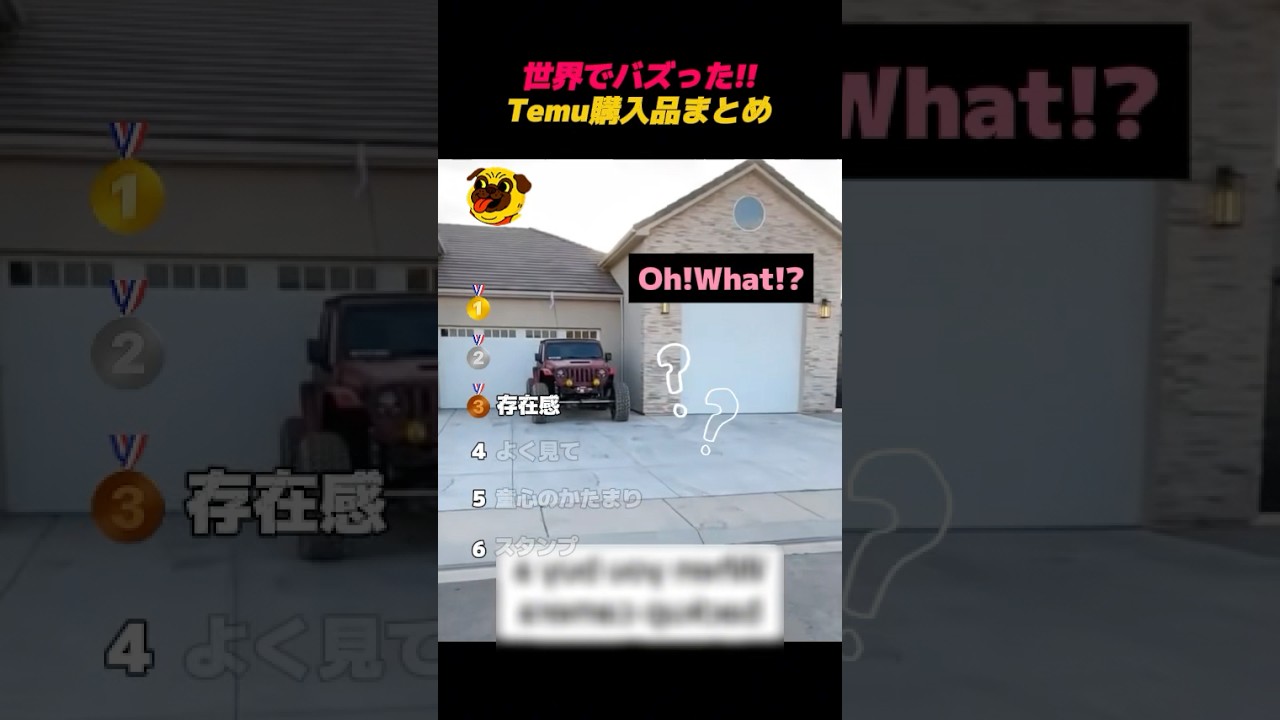 世界でバズった‼️Temu購入品まとめwww #shorts  #バズ動画