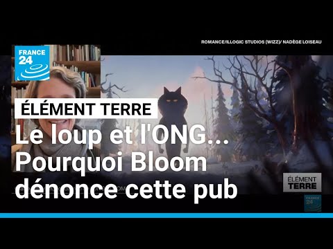 Le loup et l'ONG... Pourquoi Bloom critique la pub de Noël d'Intermarché ? • FRANCE 24