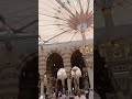 Old Masjid E Nabvi Yun To Jannat Mein Sab Hai Per Madina Nahin Madinamadina Naat