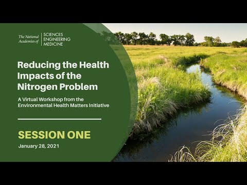 Reducing the Health Impacts of the Nitrogen Problem - Session One
