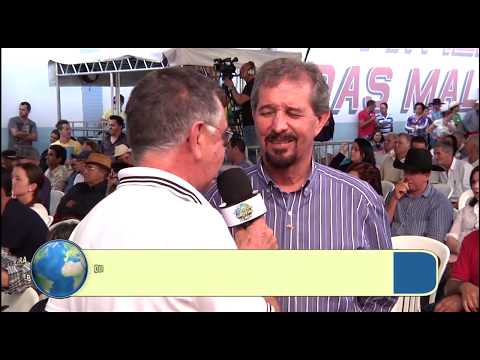 OURO FINO BOLETIM DA SEMANA 268 - 01 DE AGOSTO DE 2015