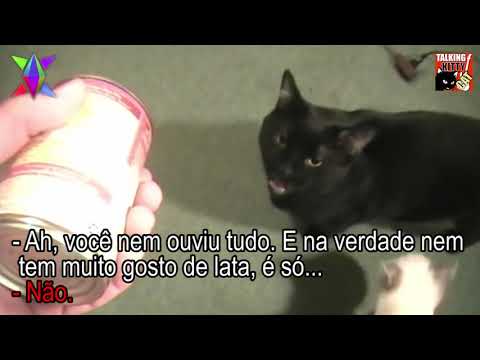 Ep 9.5 - Steve esqueceu de comprar sachê de gato ! - Legendado