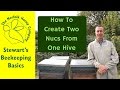 How To Split A Beehive Into 2 Nucs And Parent Colony Beekeeping Basics The Norfolk Honey Co