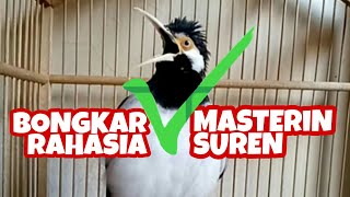 Download lagu UNVEILING THE SECRET OF MASTERING THE SUREN STARLING mp3