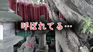 【座敷童子ンち】呼ばれる…そしてまたあの人が来る【まるで世にも奇妙な物語】ユーチューバー、幽霊、パワースポット、オカルト、ホラー、怪談、物語、スピリチュアル、座敷わらし、パワースポット