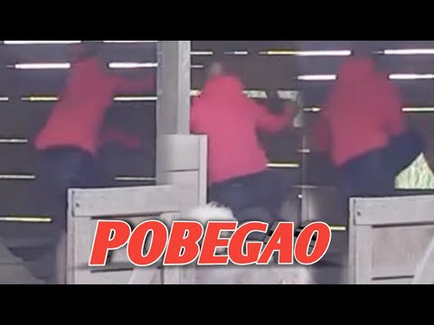 DEJAN BEŽI IZ ZADRUGE Dragojević razvalio ogradu nakon svađe sa Aleksandrom, haos u Beloj kući