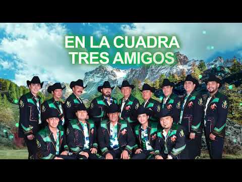 Grupo Laberinto - El Pelícano de Chicago (Letra Oficial)