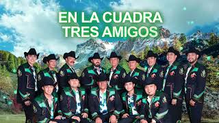 Grupo Laberinto - El Pelícano de Chicago (Letra Oficial)