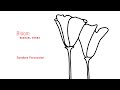 Michael Torke: BLOOM (complete)