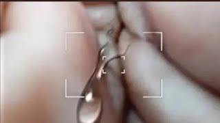 Download lagu heeriye jasleen royal ft arijitsingh dulquer salmaan aditya sharma taanitanvir mp3