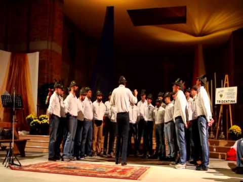 stelutis alpinis -  Coro Brigata Alpina Tridentina in congedo