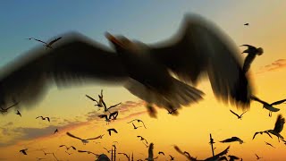 Two Minutes in Türkiye at Sunset {4K}