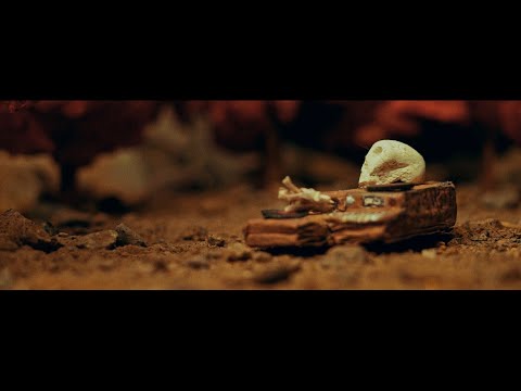 Mente Sabia Crú - Lo que yo haría