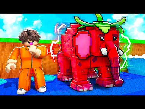 ربلوكس فتحت ستروبري الفنت في الهروب من تسونامي ! escape tsunami for brainrots