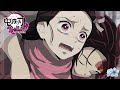 Demon Slayer: Kimetsu No Yaiba - TANUKI.