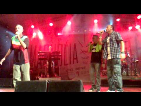 Sud Sound System   Bisogno d'amore