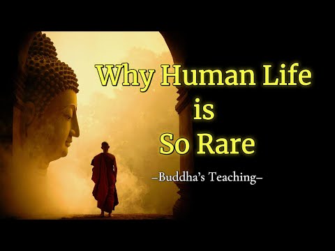 Why Is Human Life So Precious and Rare? Buddhism on the Chance to Wake Up