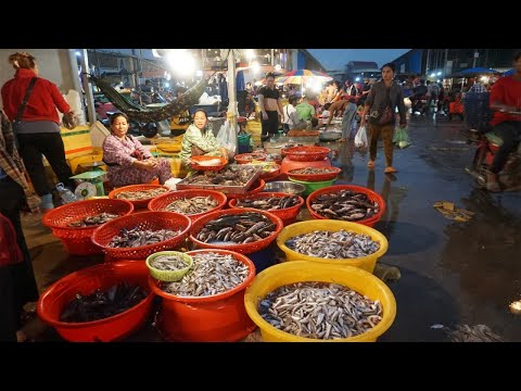 Early Morning Daily Activities of Humans Buying Fish & SeaFood @Prek Phnov Bridge - SeaFood Market