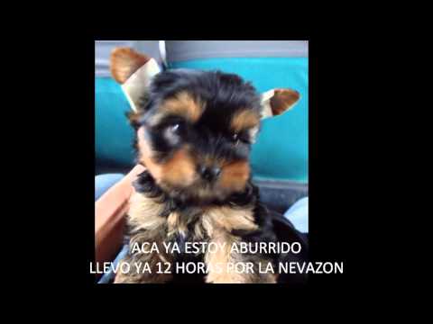 BEBE DOKY EN EL DIA SU SANTO