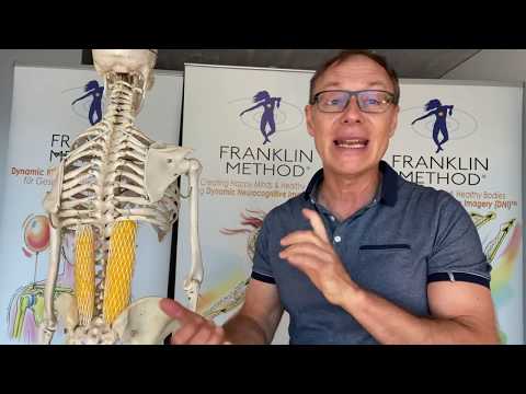 Fix lower back pain fast - An effective exercise for your fascia