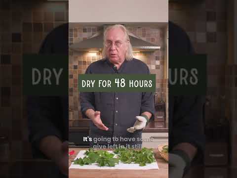 How To DRY and STORE Your HERBS