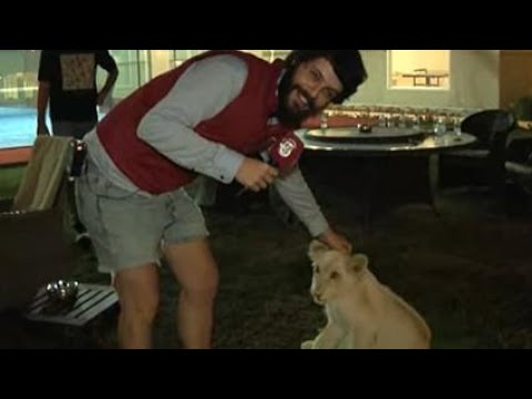 TODAS AS PERIPÉCIAS DE DIOGO DEFANTE NO QATAR - PARTE 3