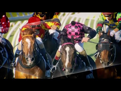 OFFICIAL Documentary -  Rothfire | The Thrilla From Chinchilla | Rob Heathcote | Stable Boss