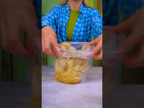 Fungi Fiesta: Your Ultimate Guide to Home Mushroom Magic! 🍄✨