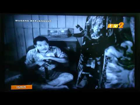 Musang Berjanggut..legend