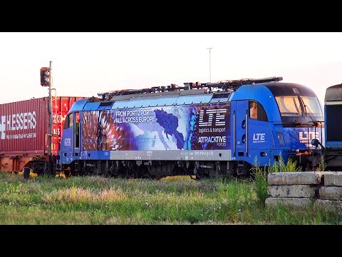 Rail Maneuver with Siemens Taurus 1216 910 -Curtici-Romania-25.08.2020