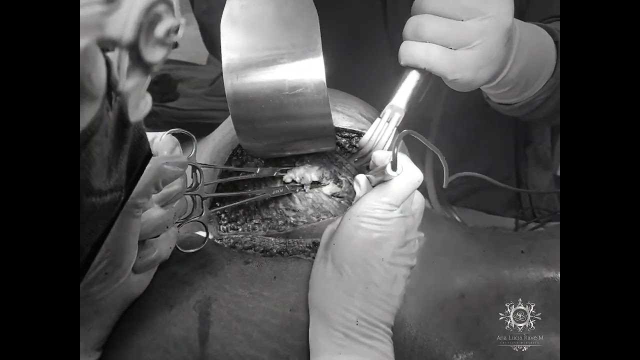 Ana Lucia Rave Martinez-33