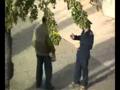 CIYVI DA KVERNA. NIKA GRIGOLIA DA DATO GOGISHVILI EREVANSHI.