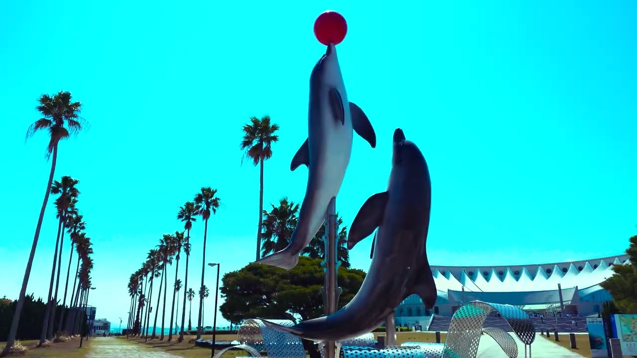 Explore the enchanting marine world at Uminonakamichi Seaside Park!