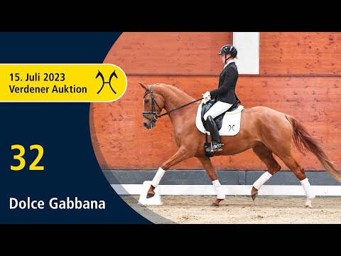 Verden Auction Online - Sporthorses - July, 15th - No. 32 Dolce Gabbana by Dinamic - Dresemann