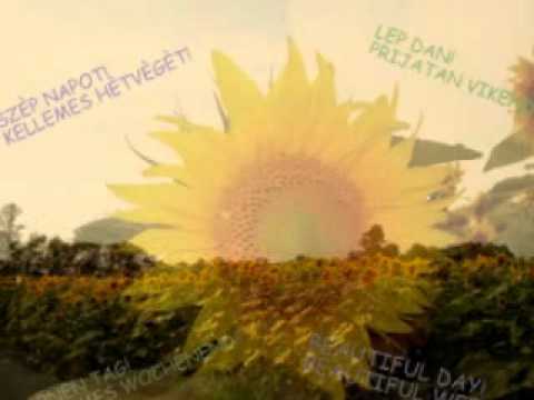 kik szeretnek-vagy éppen nem--Shattered dreams -NEU-NEUDORF.wmv