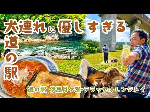 YouTube動画を再生