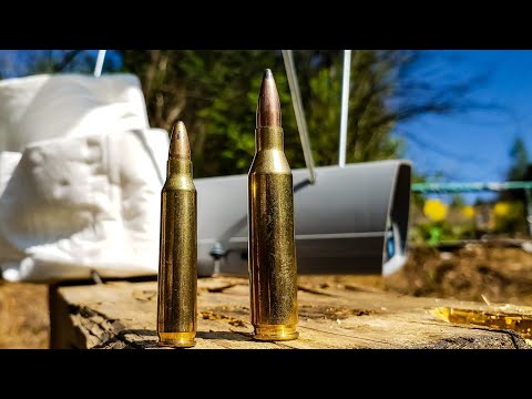 223 vs 243??? Which is better?