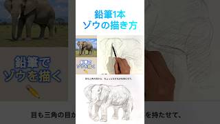 鉛筆1本でゾウの描き方🐘 #shorts