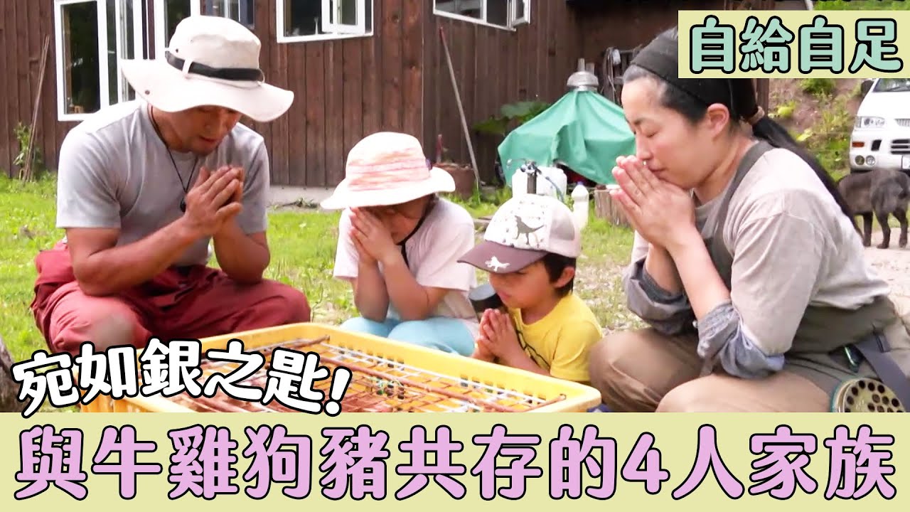 【自給自足鄉間生活好吃驚】真人版「銀之匙」！在北海道跟羊豬狗雞一起生活的4人家族｜緯來日本
